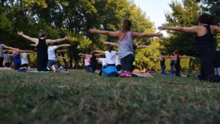 women performing yoga on green grass near trees